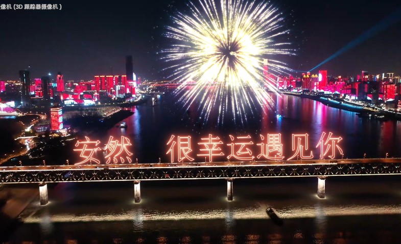 0073航拍大桥霓虹灯