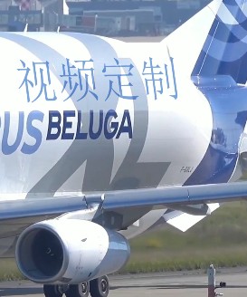 0093大头飞机AE模板